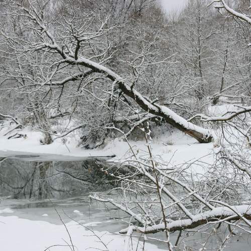 Photo #8577327