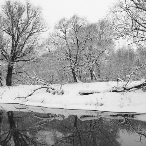 Photo #8577333