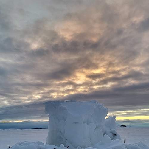 Photo #8577864