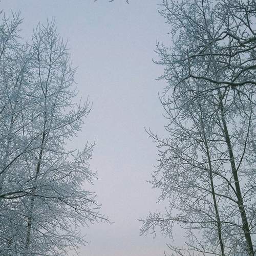 Photo #8577997