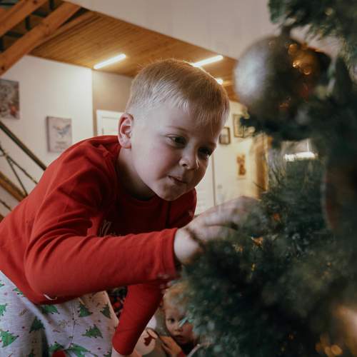 Photo #8578109