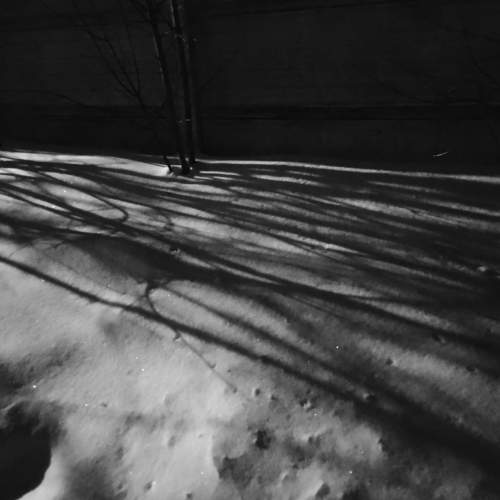 Photo #8578562