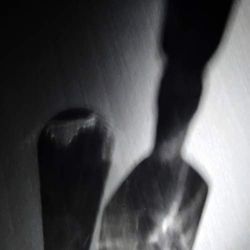 Photo #8578563