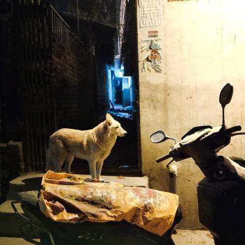 Photo #8578641