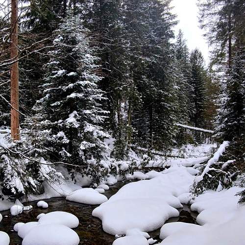 Photo #8578655