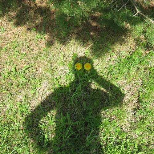 Photo #8579064