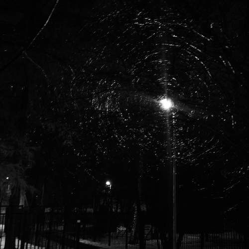 Photo #8579261