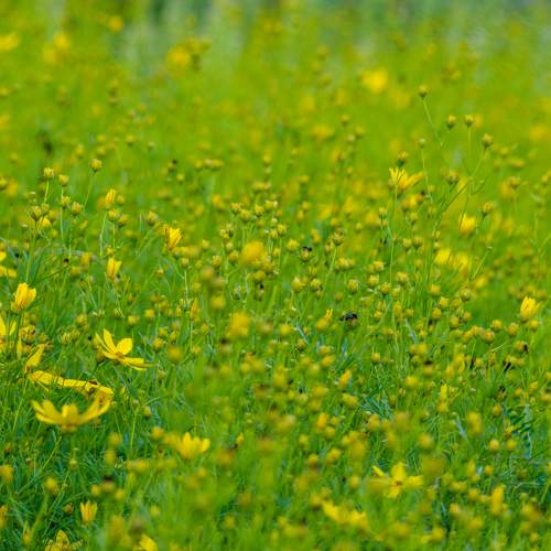 Photo #8579693