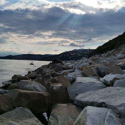 Photo #8579729