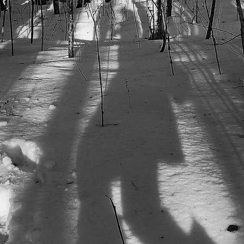 Фотография #8579846