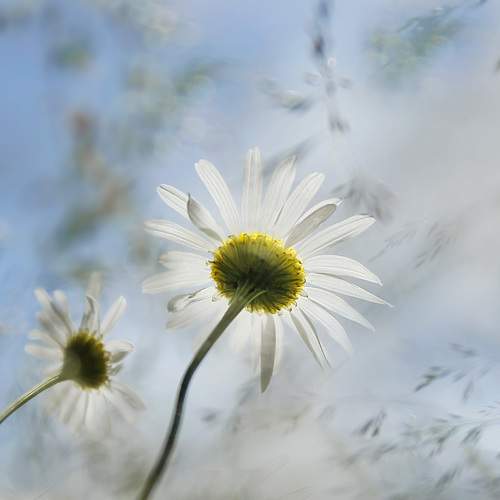 Photo #8579961