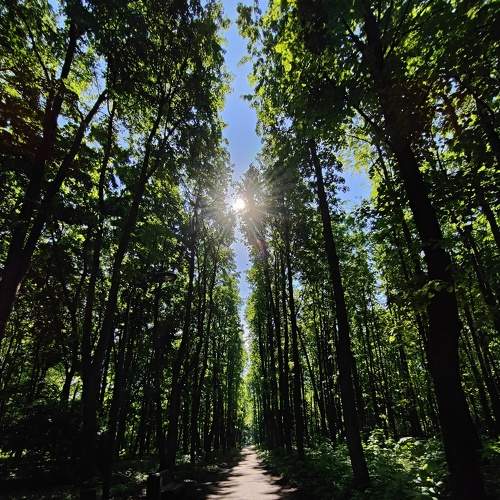 Photo #8580435