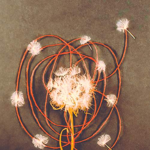 Photo #8580721