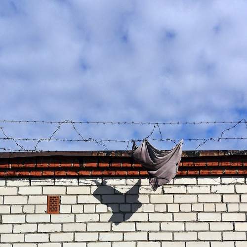 Photo #8580878
