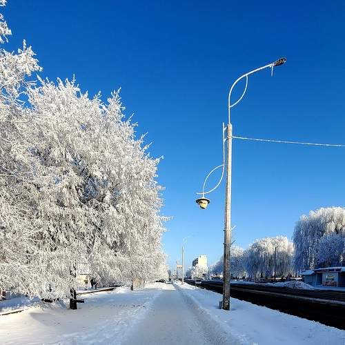 Photo #8581298