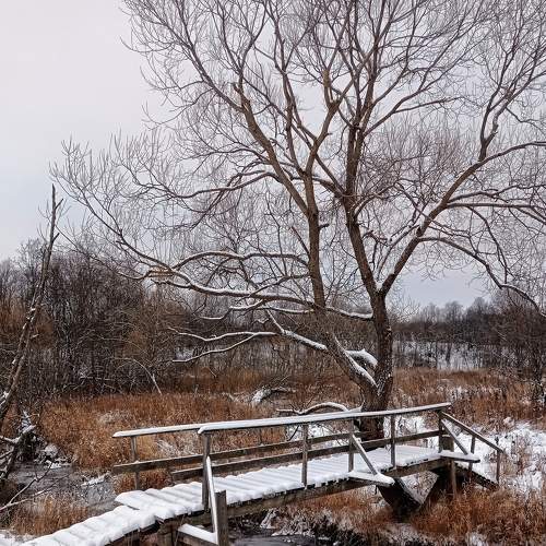 Photo #8581349
