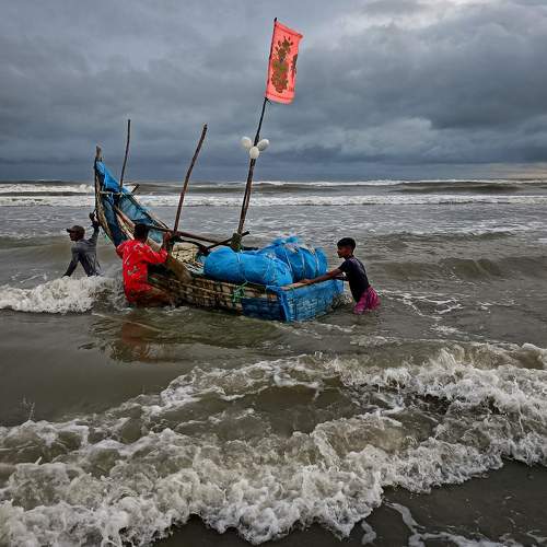 Fighting for Livelihood