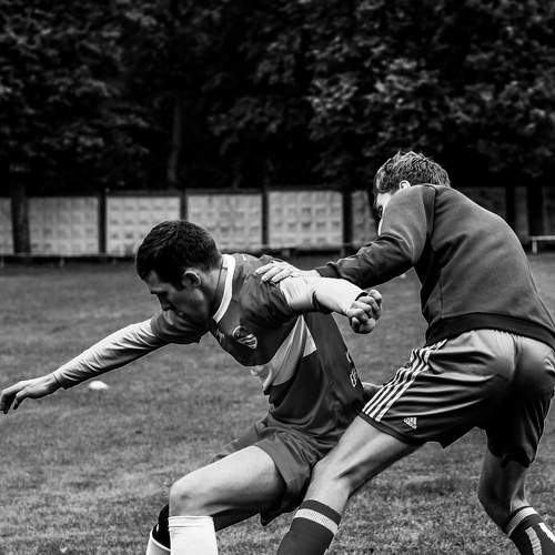 Photo #8581935