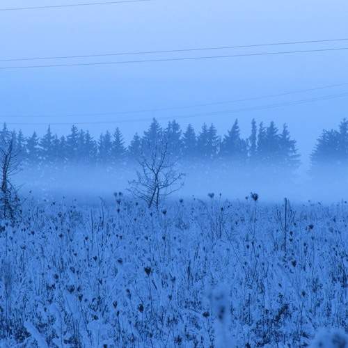 Photo #8581945