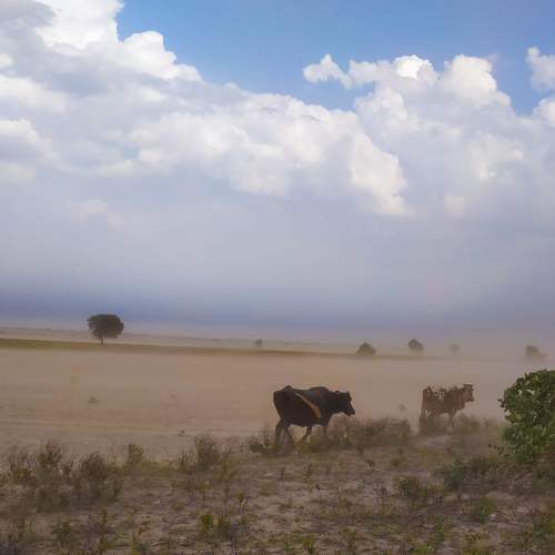 Photo #8582073