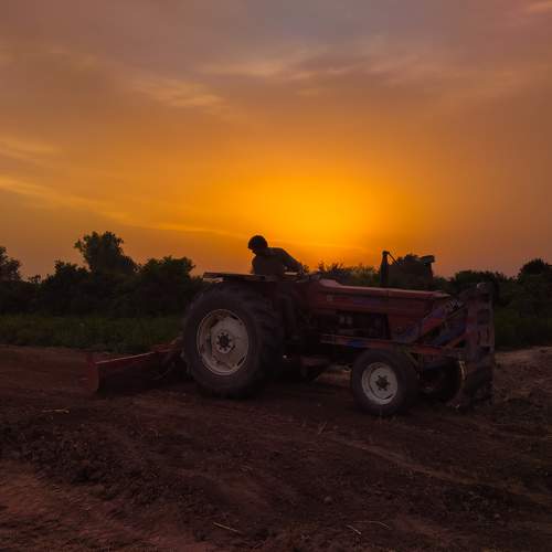 Photo #8582121