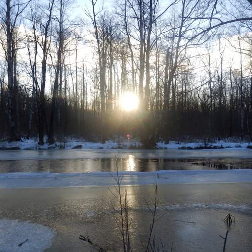 Photo #8582176