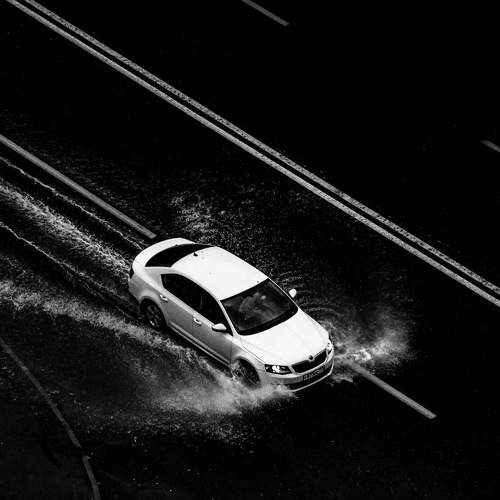 Photo #8582477