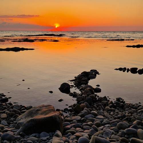 Photo #8582593