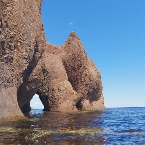 Photo #8582879