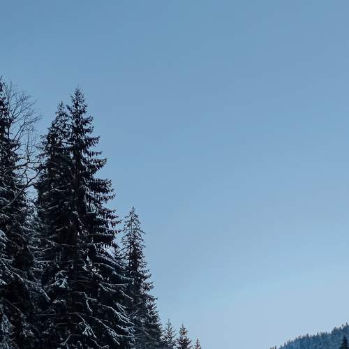 Photo #8583190