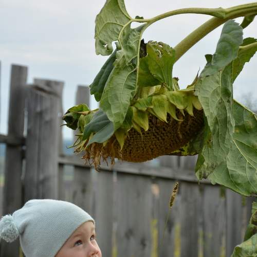 Photo #8583196