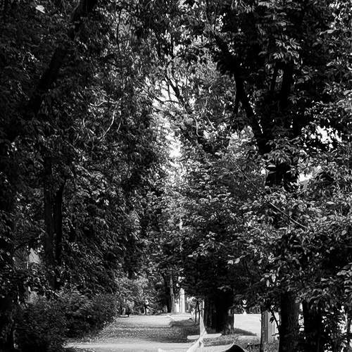 Photo #8583205