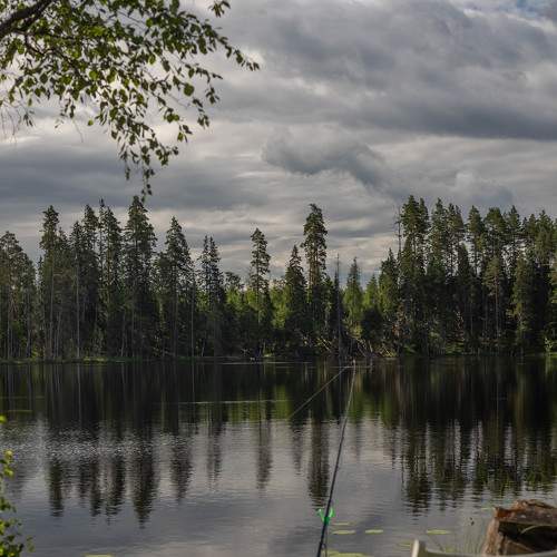 Photo #8583492
