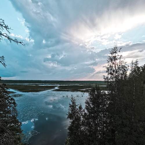 Photo #8583493