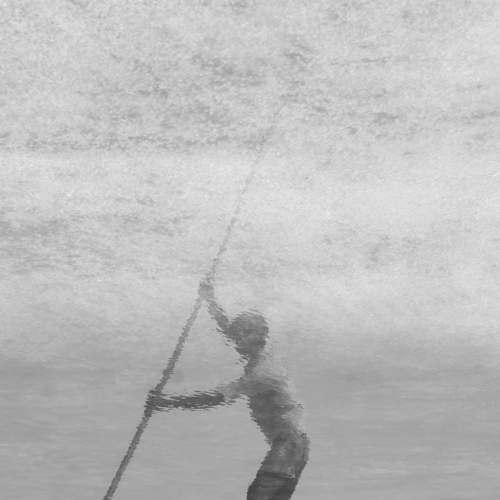 Photo #8583563