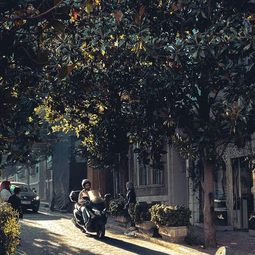 Photo #8584010