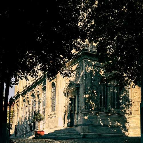 Photo #8584016