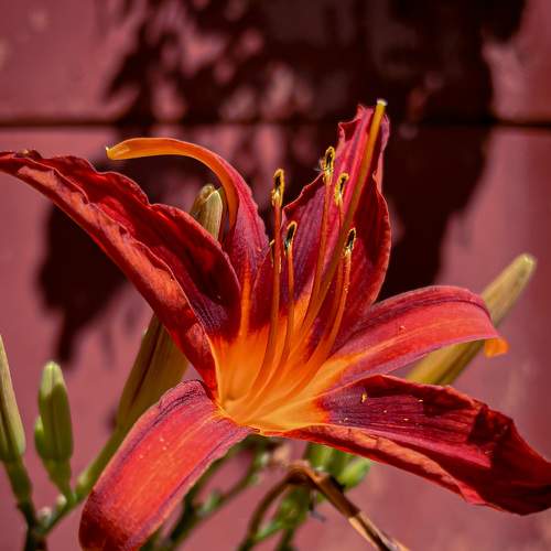 Photo #8584024