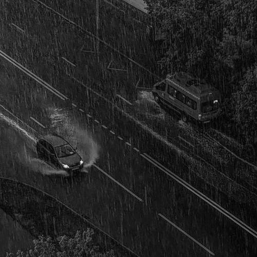 Photo #8584246