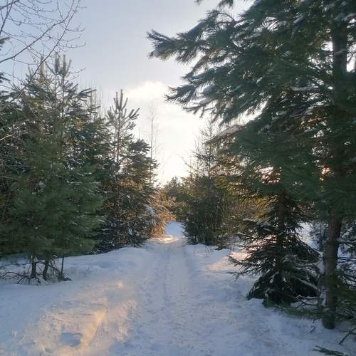 Photo #8584250