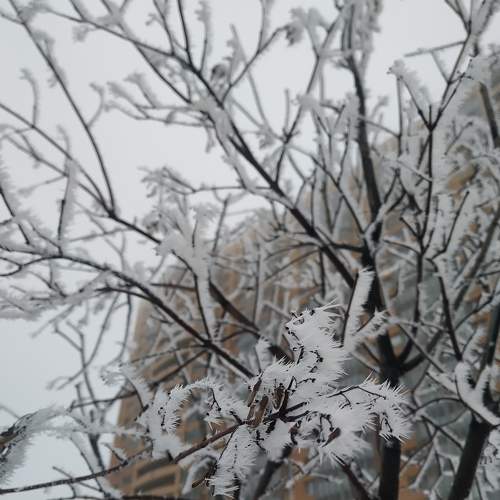 Photo #8584325