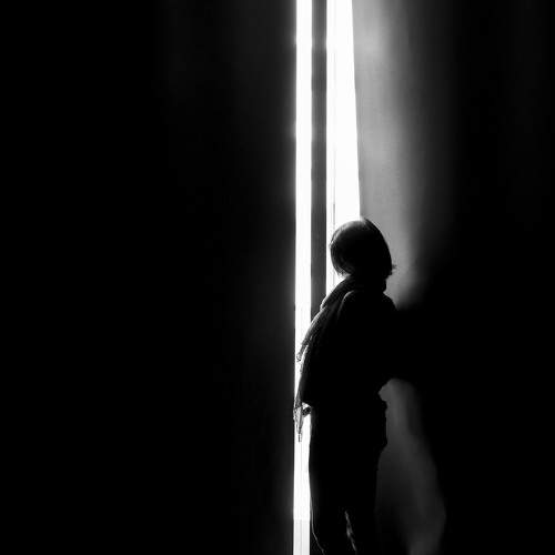 Photo #8584429