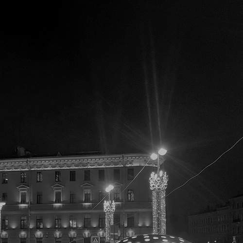 Photo #8584901