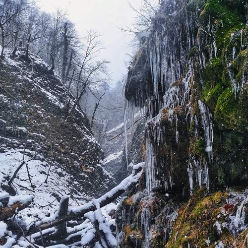 Photo #8584924