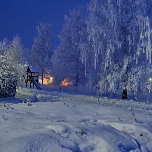 Photo #8585155
