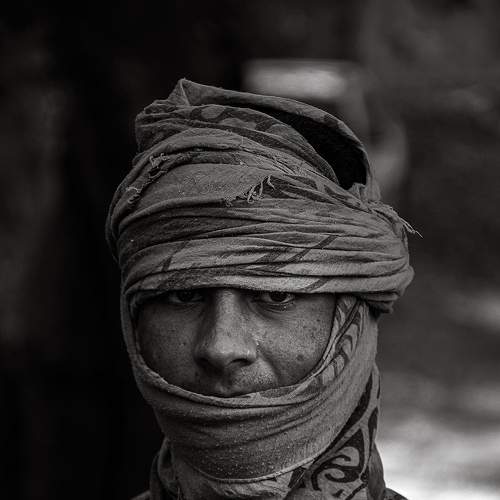 Photo #8585182