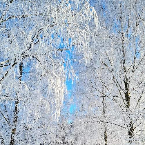 Photo #8585827