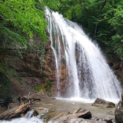 Photo #8585908