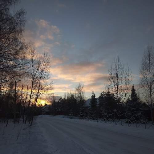 Photo #8586017