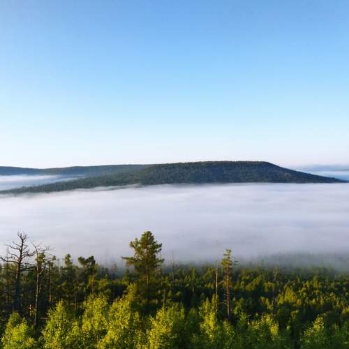 Photo #8586140